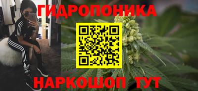 мяу мяу мука Краснознаменск