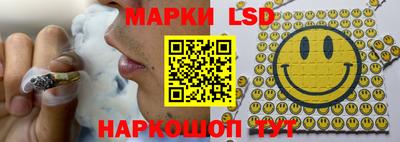 мяу мяу мука Краснознаменск