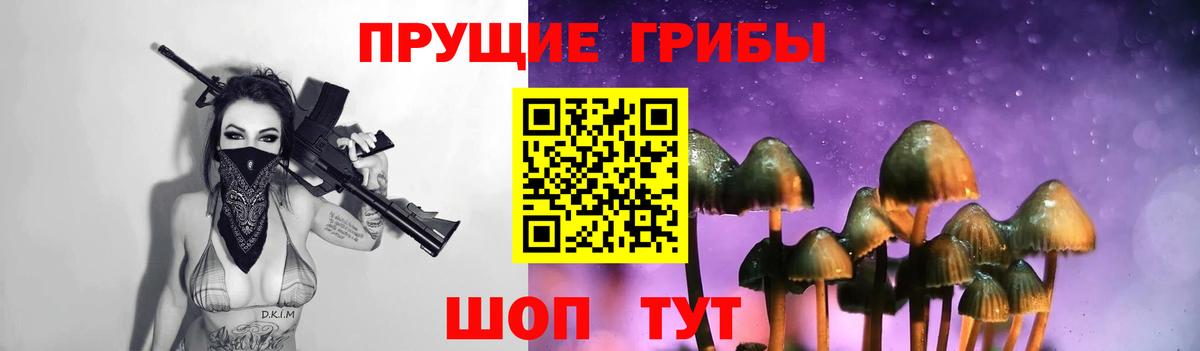 Кандалакша  Псилоцибиновые грибы Magic Shrooms  Вход с VPN  Псилоцибиновые грибы Psilocybine cubensis 